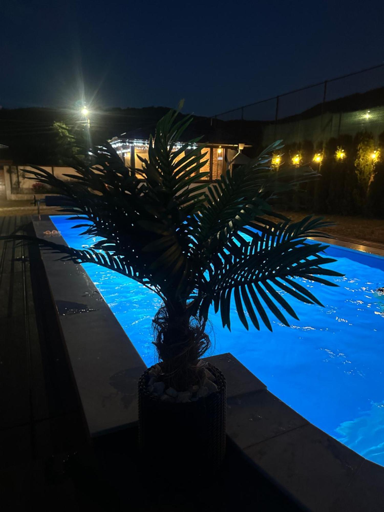 Villa Paradise Бели-Искыр Экстерьер фото